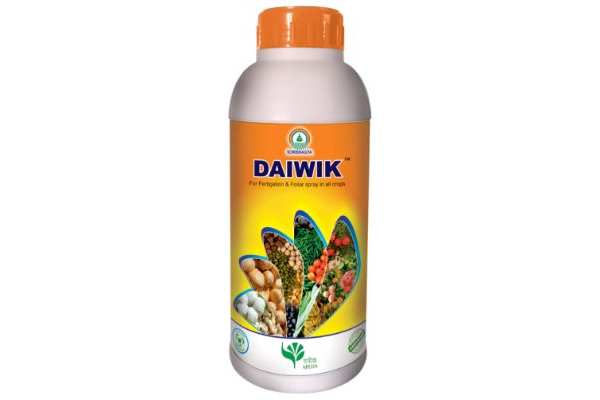 Daiwik