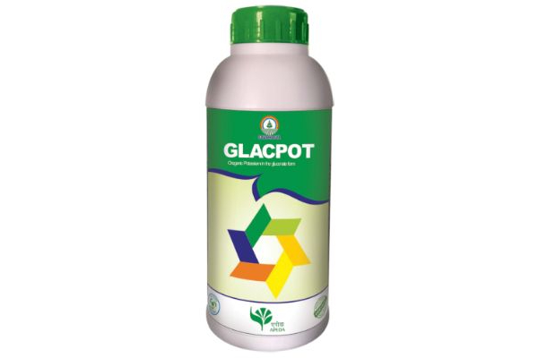 Glac Pot