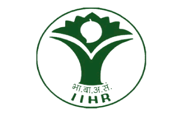 Indian Institute of Horticultural Research