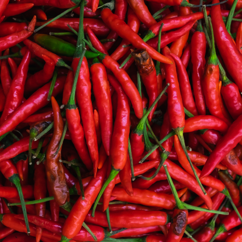 Chilli