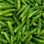 ladyfinger