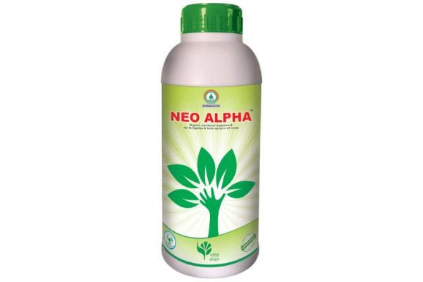 Neo Alpha