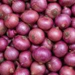 onion